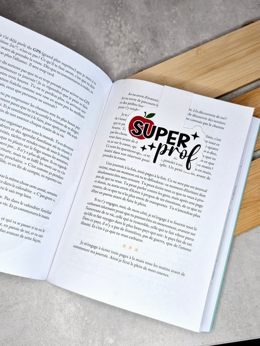 Signet Magnétique - Super Profs
